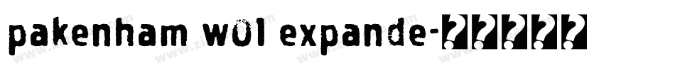 pakenham w01 expande字体转换